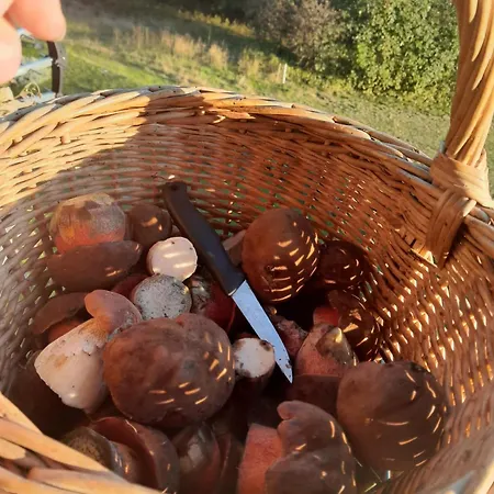 S Výhledem Do Krajiny Jestřabí V Krkonoších Apartmán *