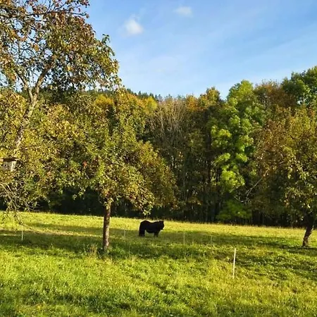 S Výhledem Do Krajiny Jestřabí V Krkonoších Apartmán