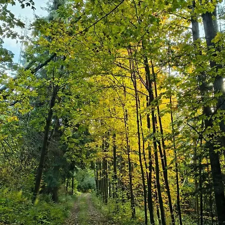 S Výhledem Do Krajiny Jestřabí V Krkonoších Apartmán
