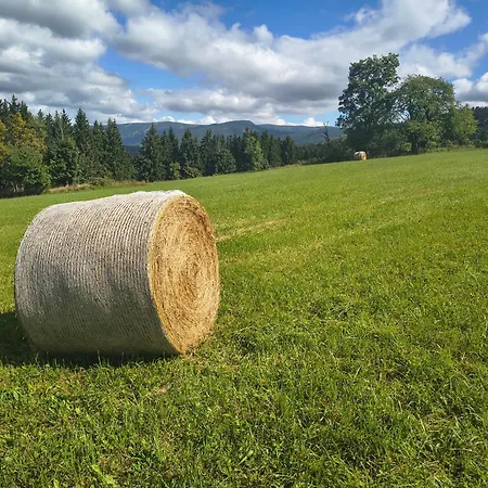 S Výhledem Do Krajiny Jestřabí V Krkonoších Apartmán Jestrabi V Krkonosich